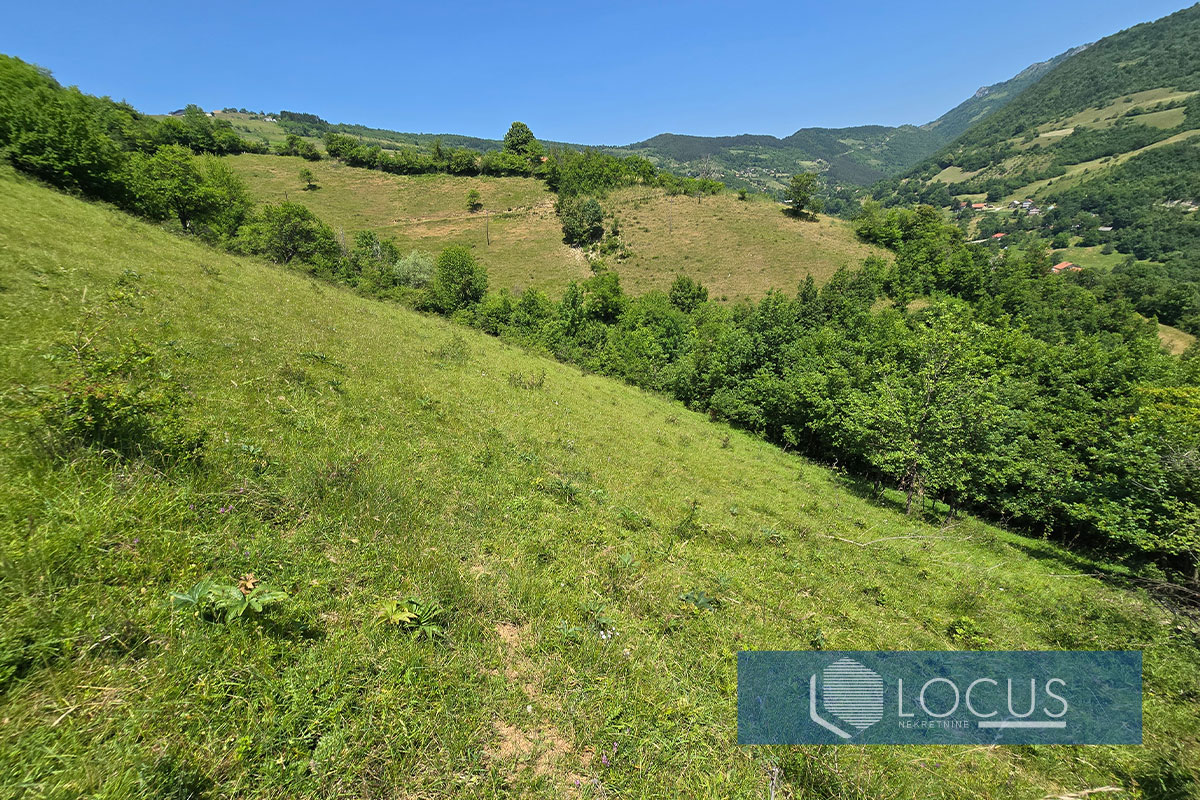 10_ Parcela