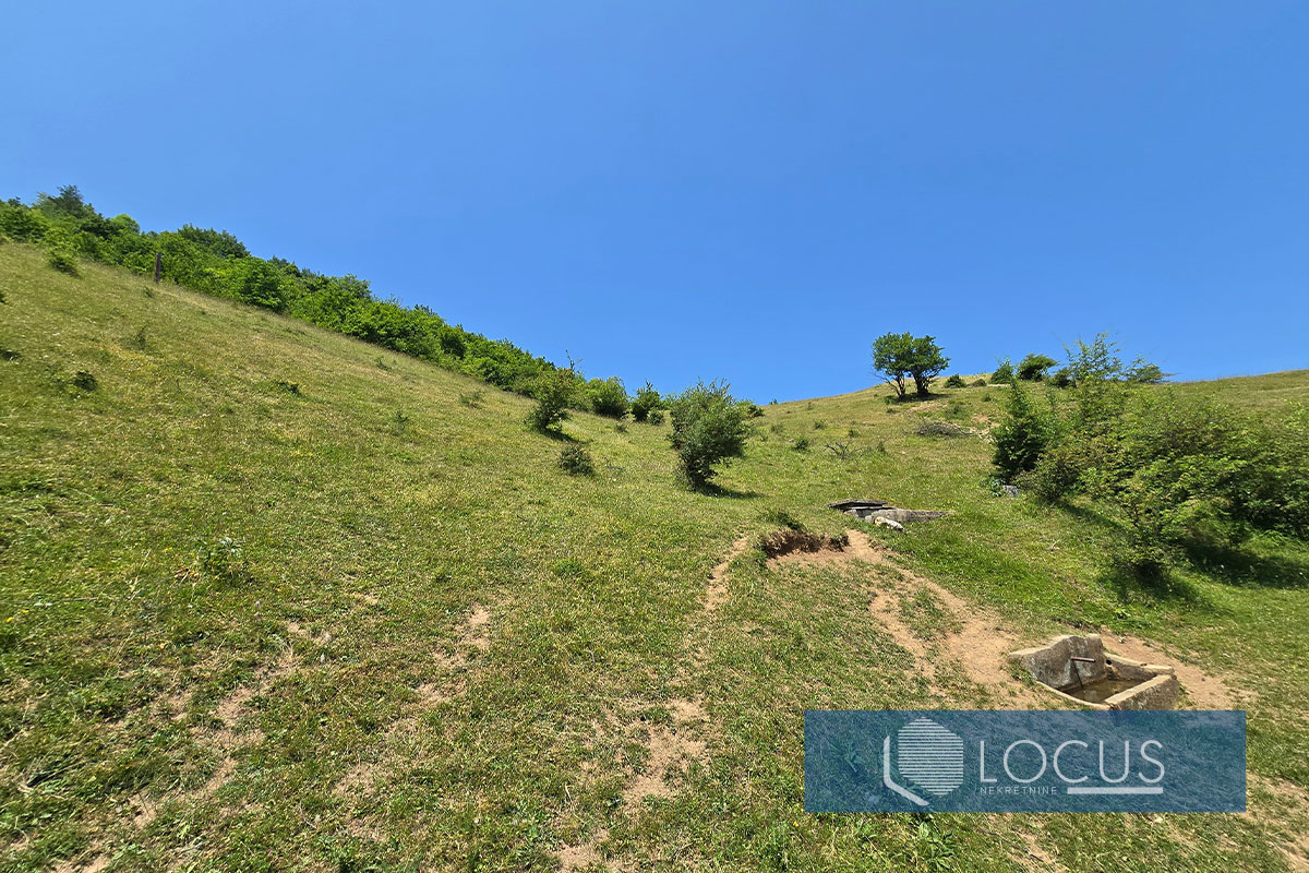 5_ Parcela