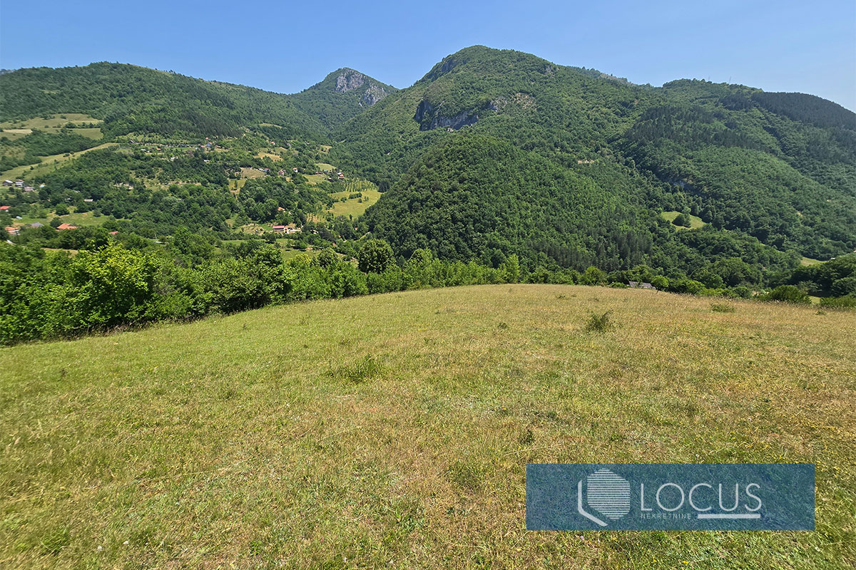 8_ Parcela