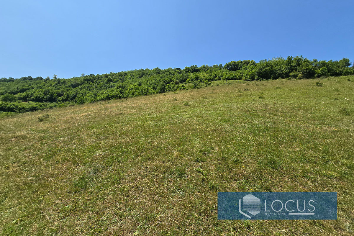 9_ Parcela