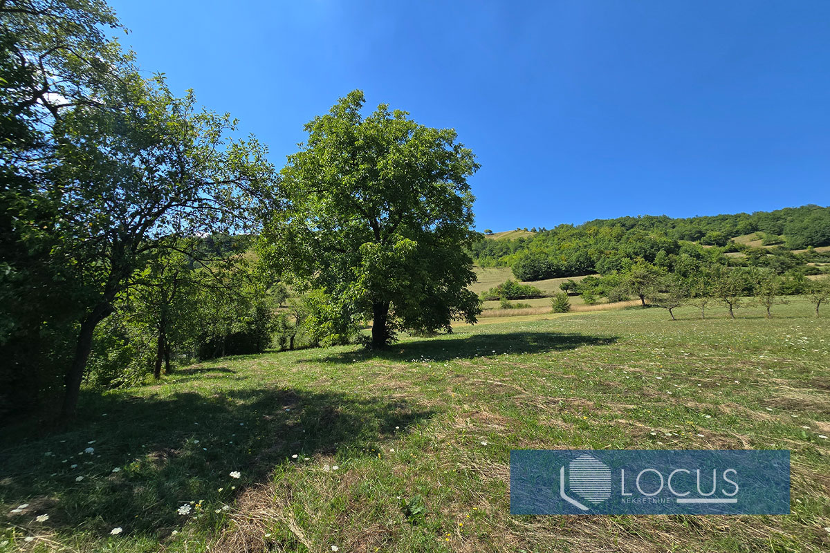 10_ Parcela