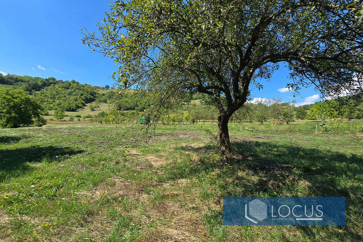 9_ Parcela