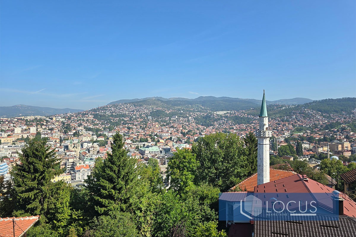 14_ Pogled