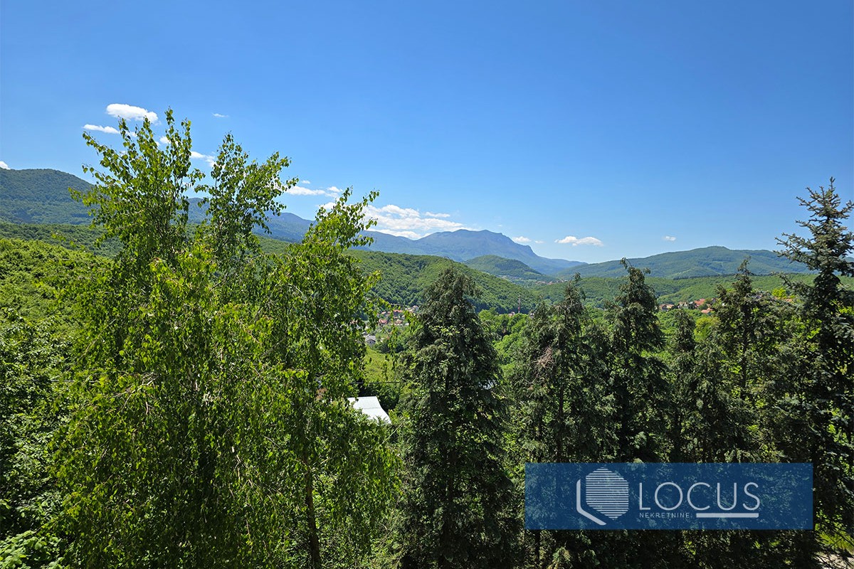 17_ Pogled
