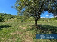 9_ Parcela