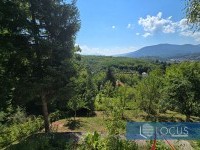 16_ Pogled