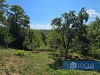 11_ Parcela