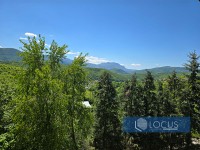 17_ Pogled