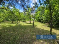 13_ Parcela