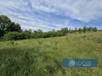 6_ Parcela