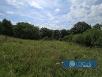 4_ Parcela