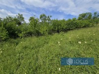 12_ Parcela
