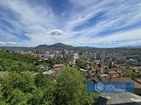 11_ Pogled