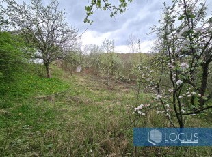 Land plot with a registered area of 1,090m2 with its own water source and a small cottage next to the main road in the settlement of Kobiljača, Ilidža