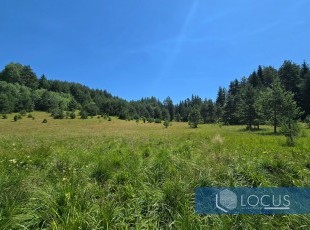 Spacious and sunny plot of land measuring 64,169m2 in an accessible location in the Lađevići settlement, Nišićka visoravan, Ilijaš